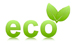 logo_eco_fleur